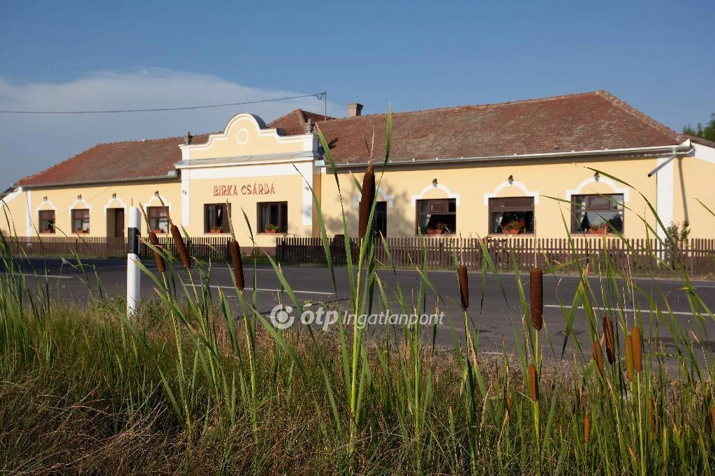 For sale house, Gyomaendrőd