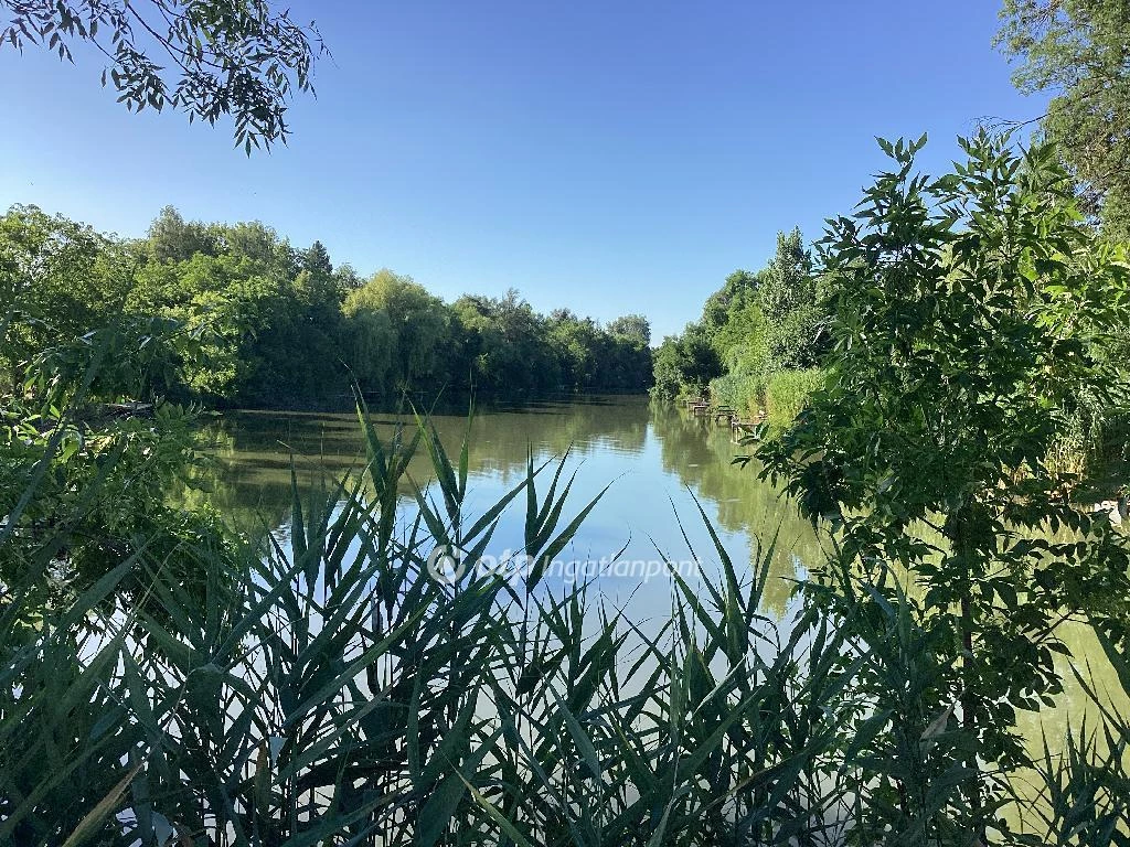 For sale house with a garden, Gyomaendrőd