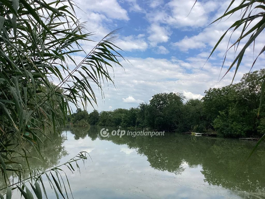 For sale house with a garden, Gyomaendrőd