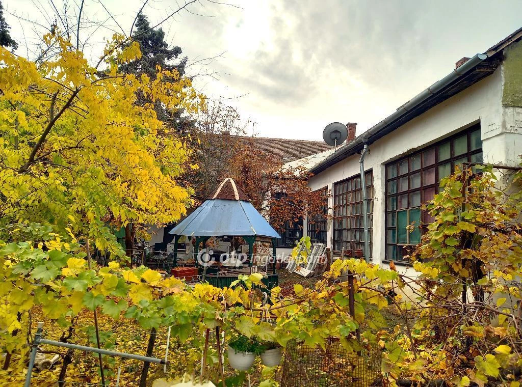 Eladó Ház, Csongrád