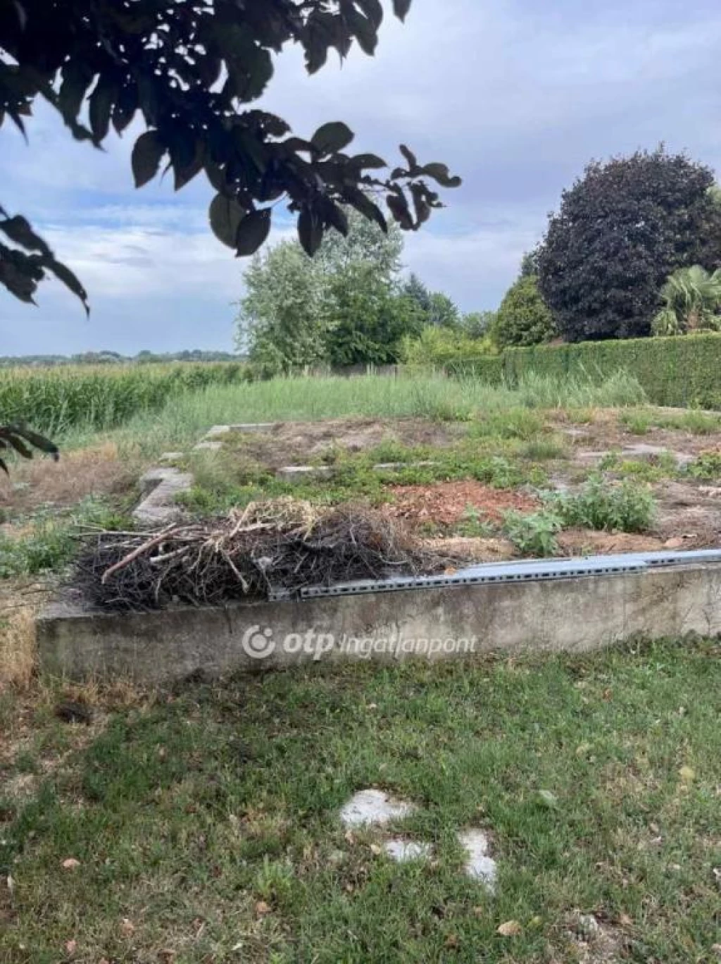 For sale building plot, Csongrád