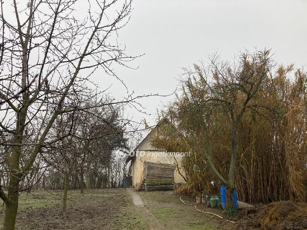 Eladó Ház, Szentes