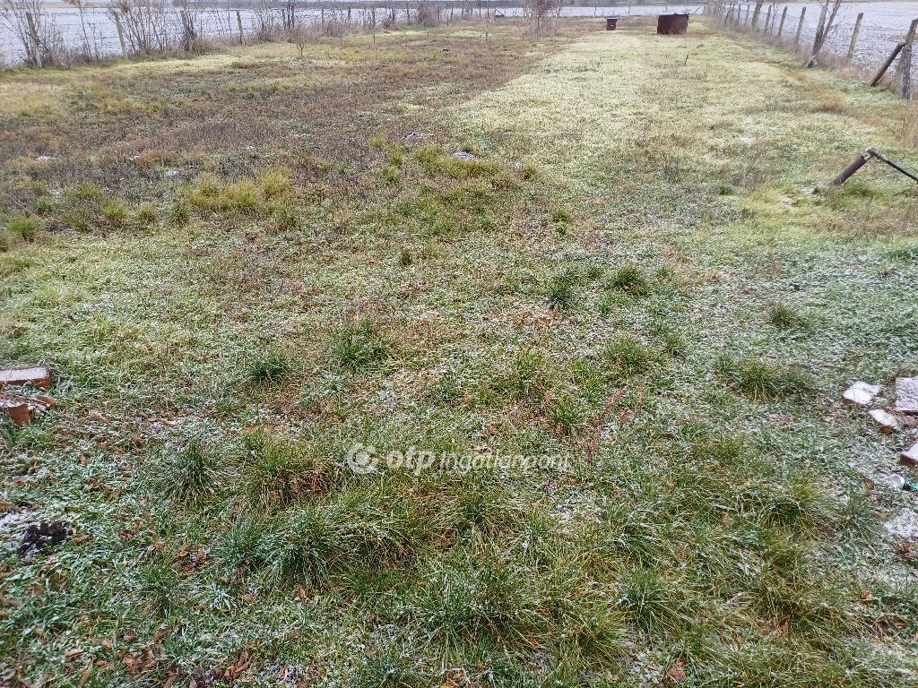 For sale periphery plot, Csongrád