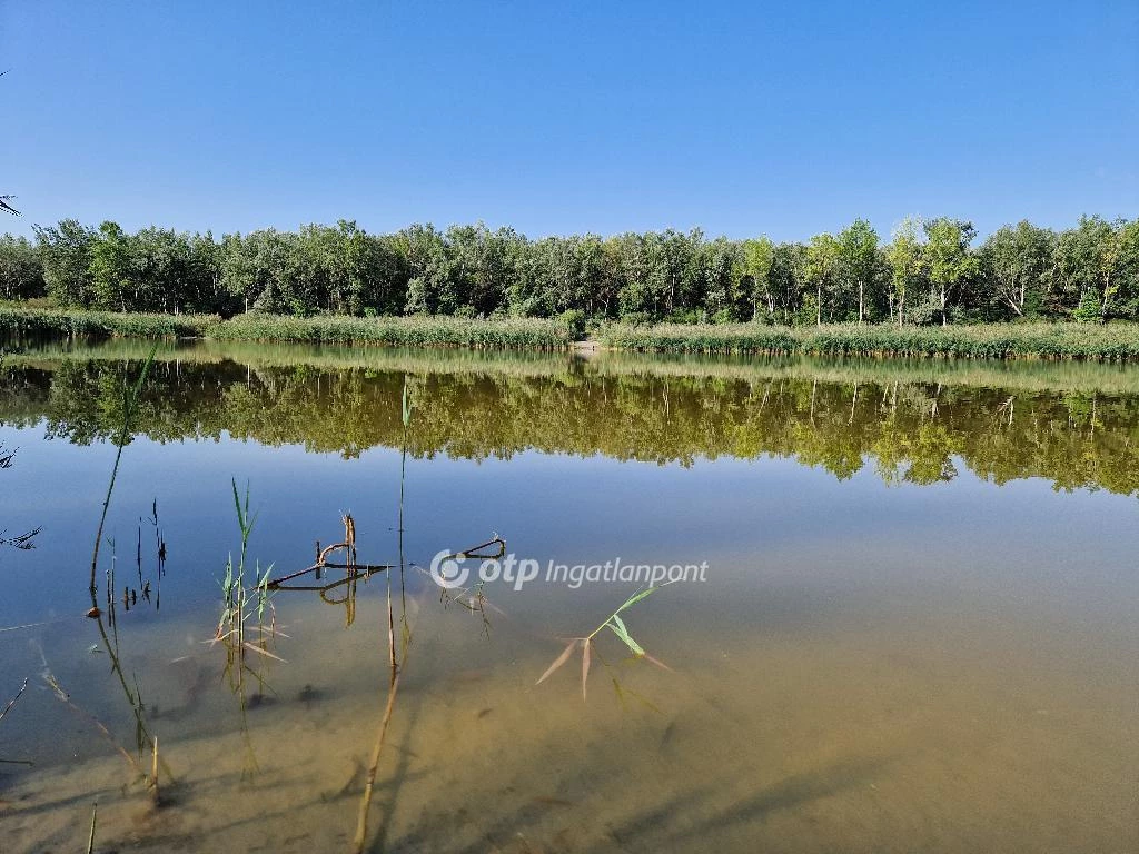 For sale plough-land, pasture, Ruzsa