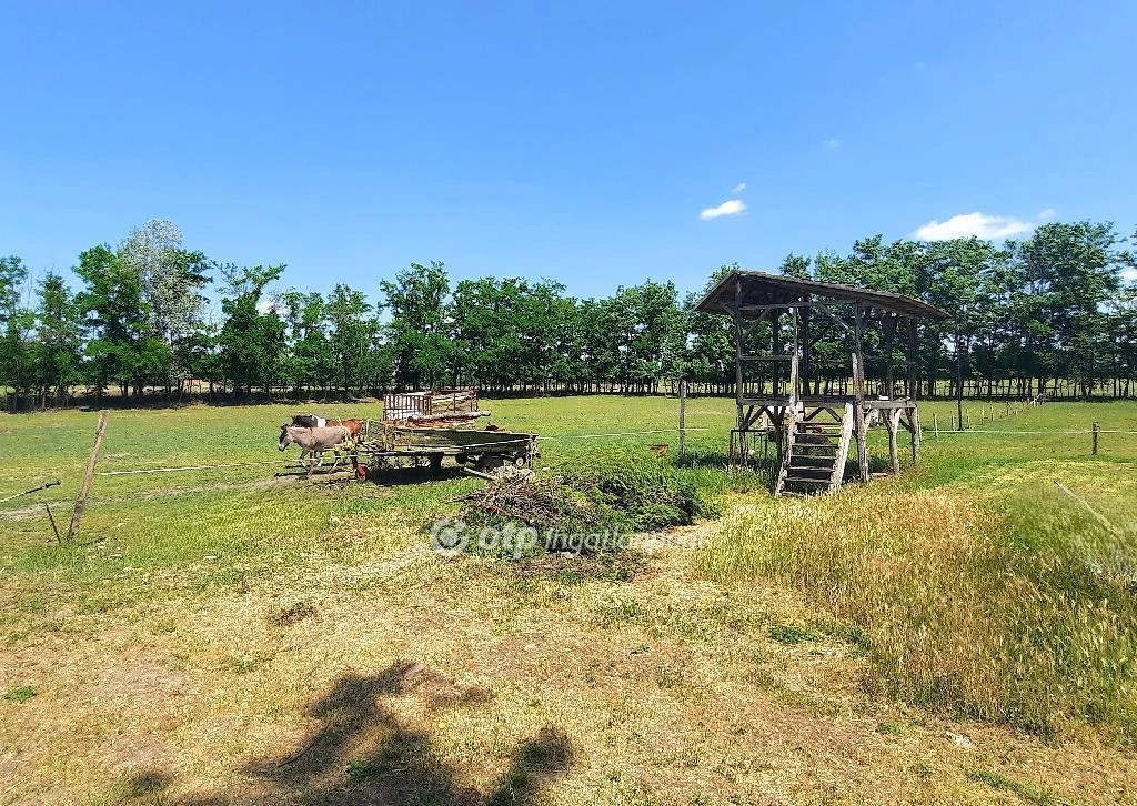 For sale plough-land, pasture, Kiskunfélegyháza