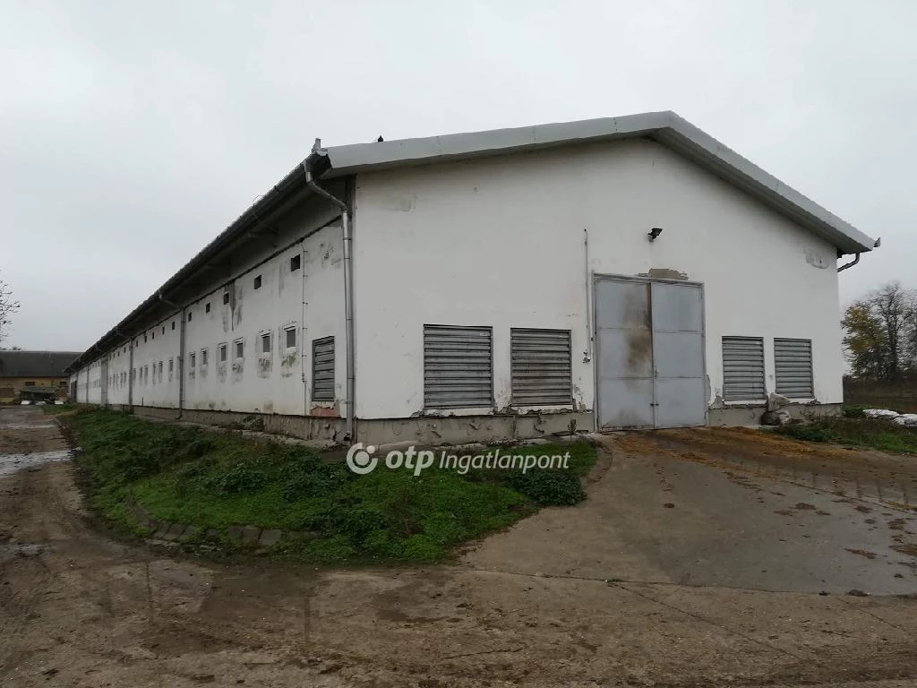 For sale plough-land, pasture, Mezőhegyes