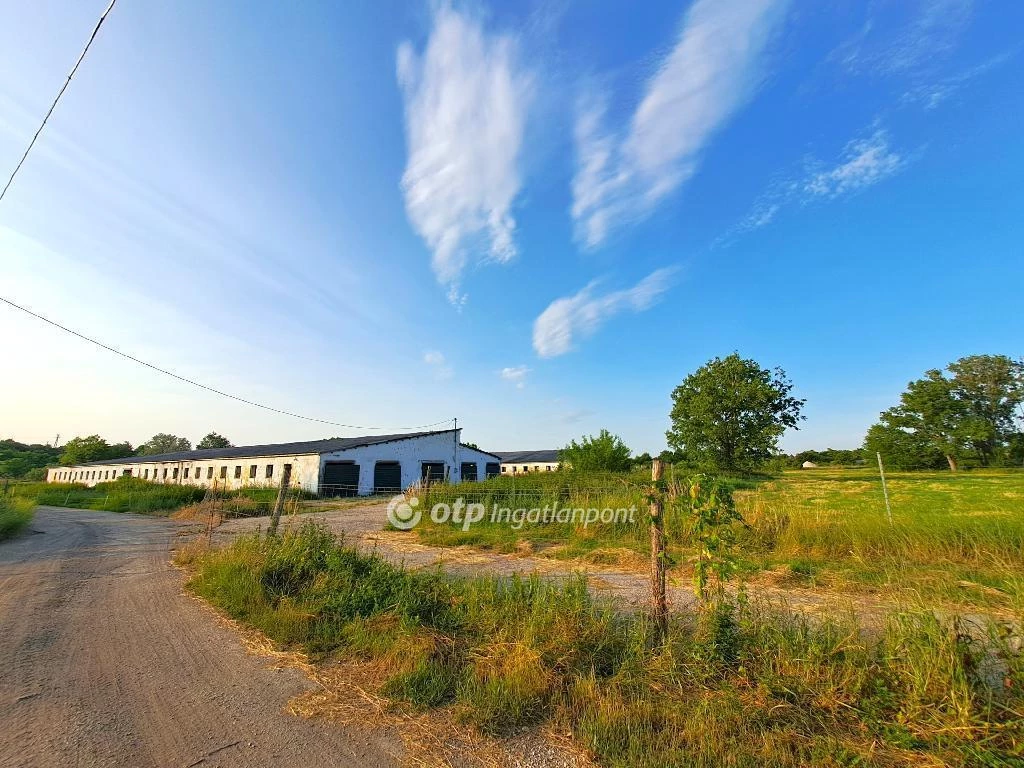 For sale plough-land, pasture, Solt