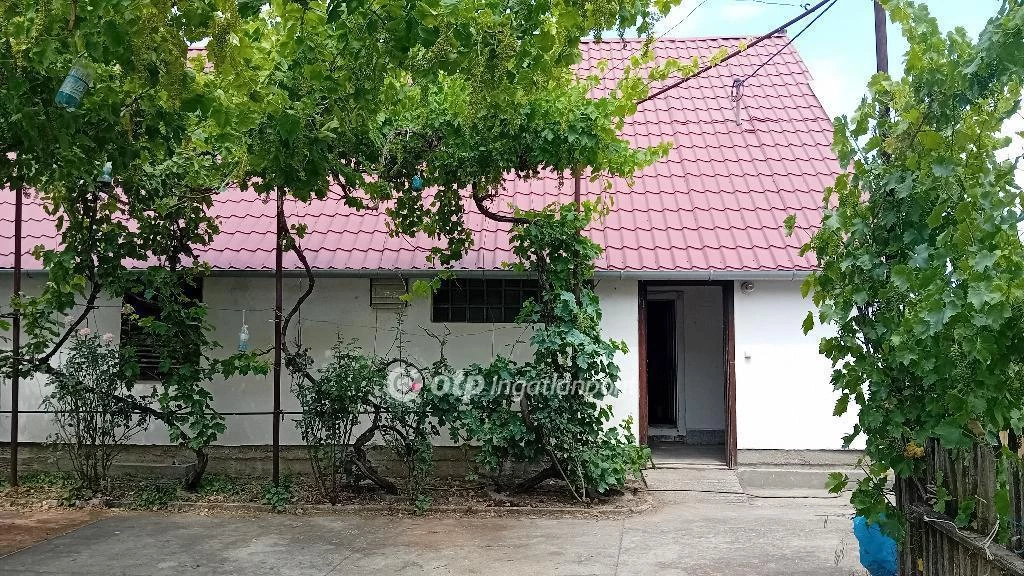 For sale plough-land, pasture, Röszke