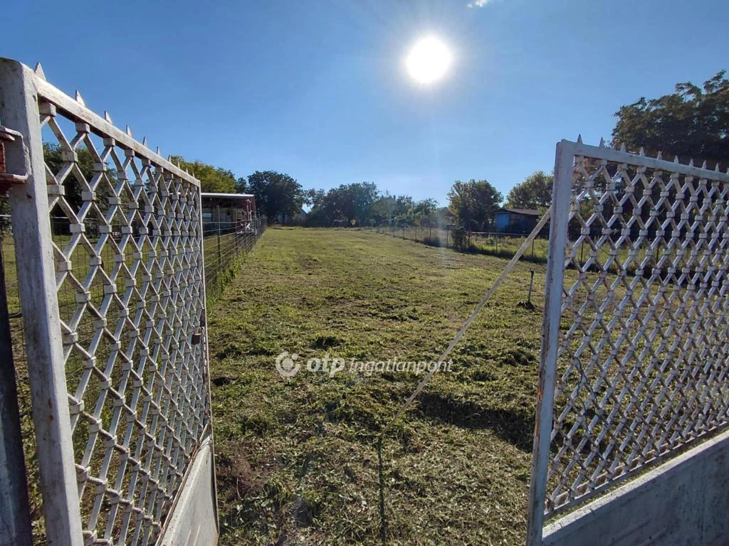 Eladó Telek, Tóalmás