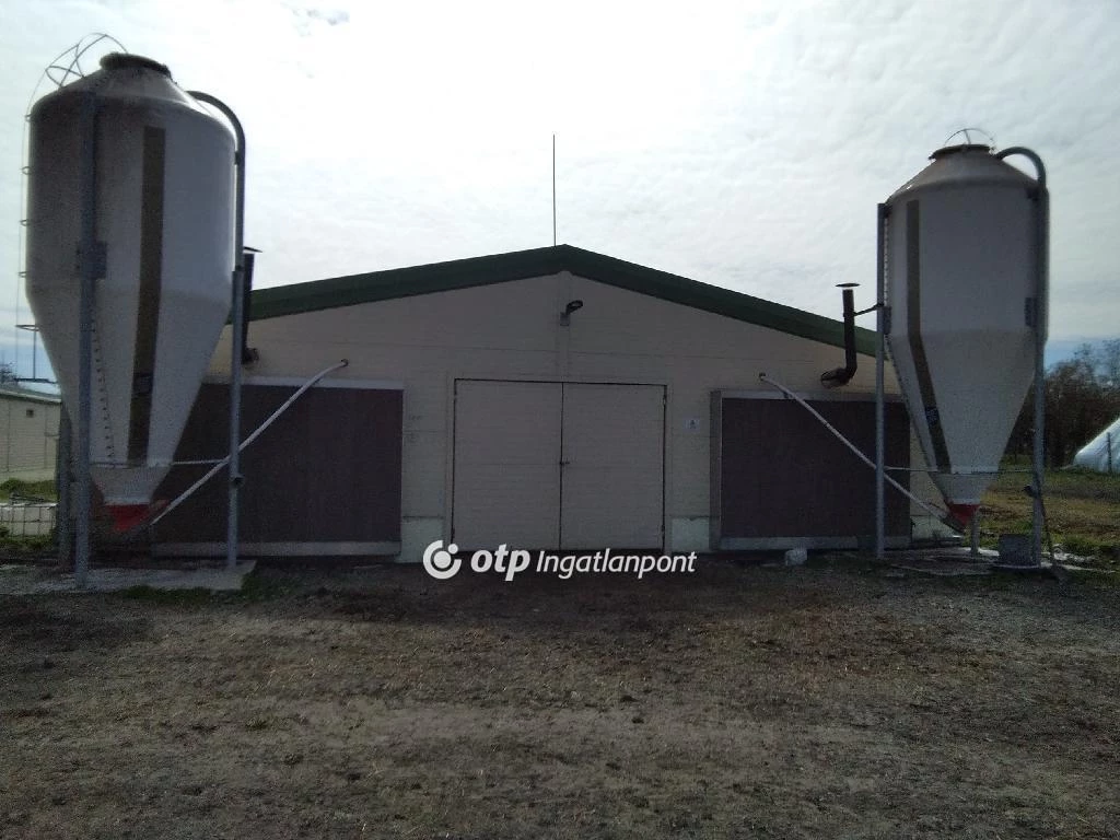 Kiadó Ipari terület, Szentes