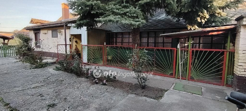 c3-1-name c2-1-name, Orosháza