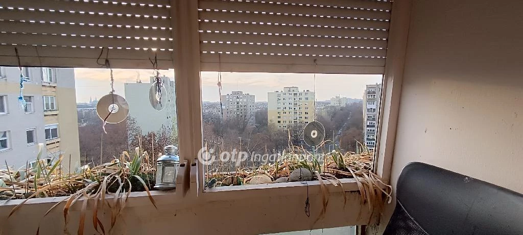 c3-1-name c2-20-name, Szeged