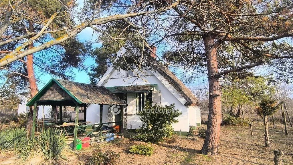 Eladó Ház, Csongrád