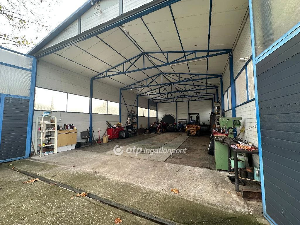 Eladó Üzem, Csongrád