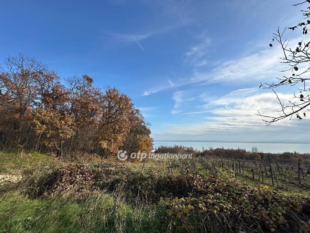 Eladó Telek, Balatonszepezd