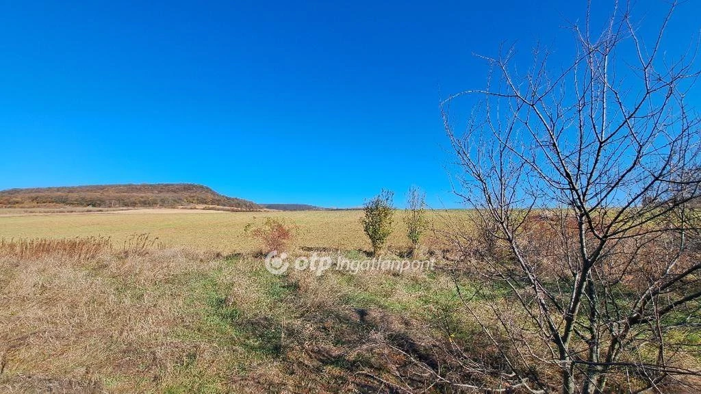 Eladó Telek, Pilisborosjenő