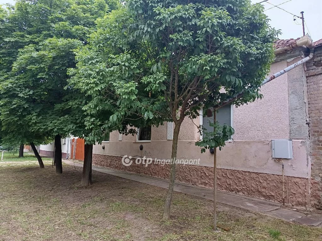 For sale house, Elek