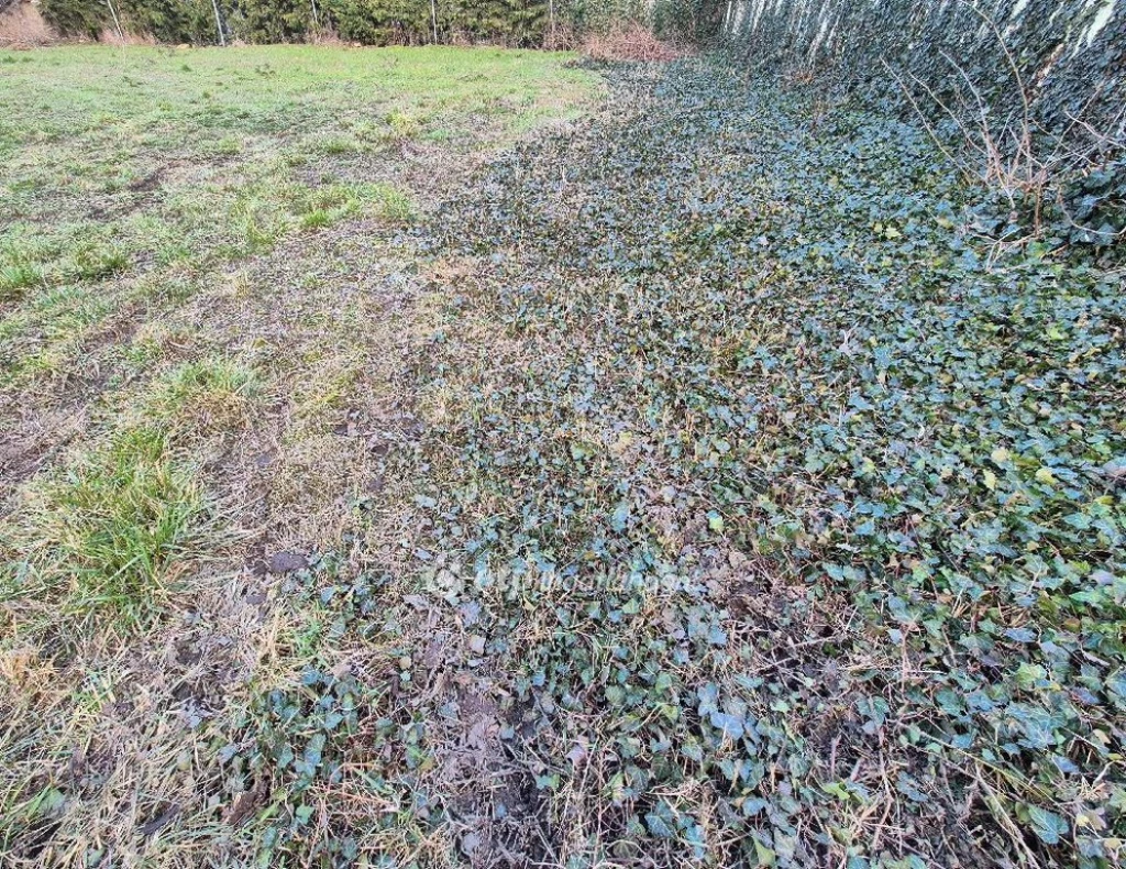 For sale building plot, Szentes