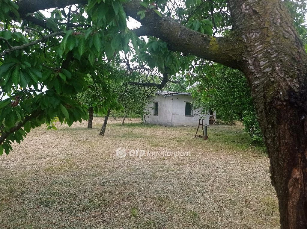 For sale building plot, Békés