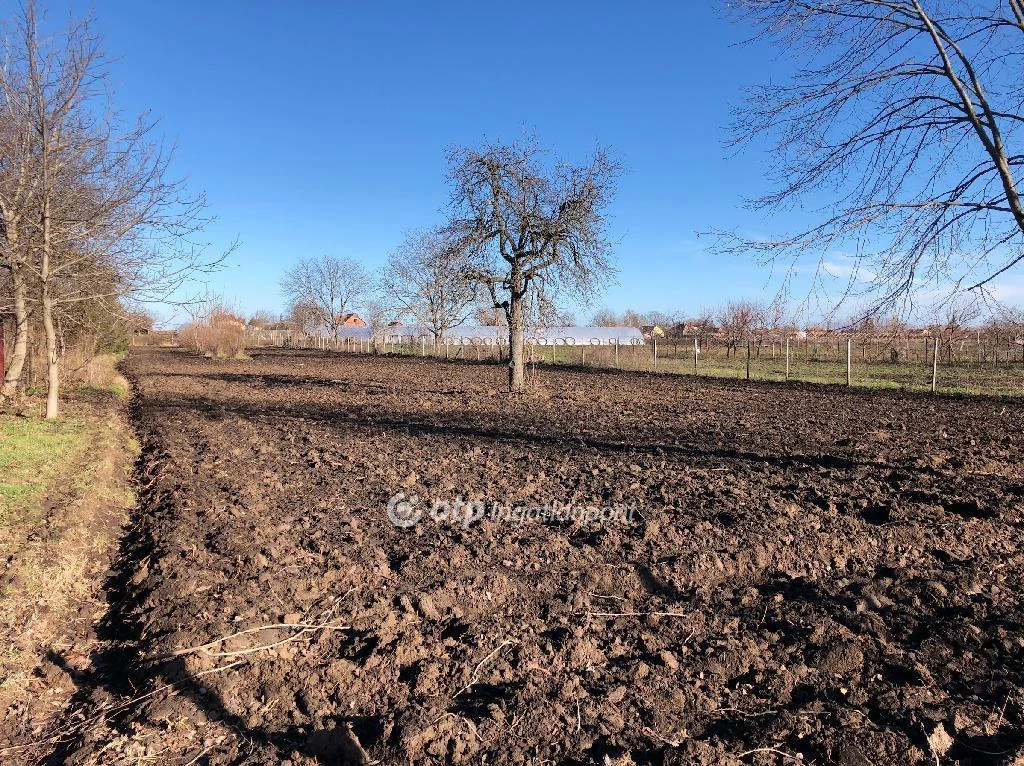 Eladó Telek, Orosháza