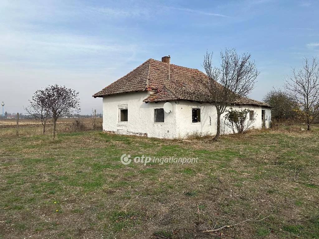 For sale grange, Szentes