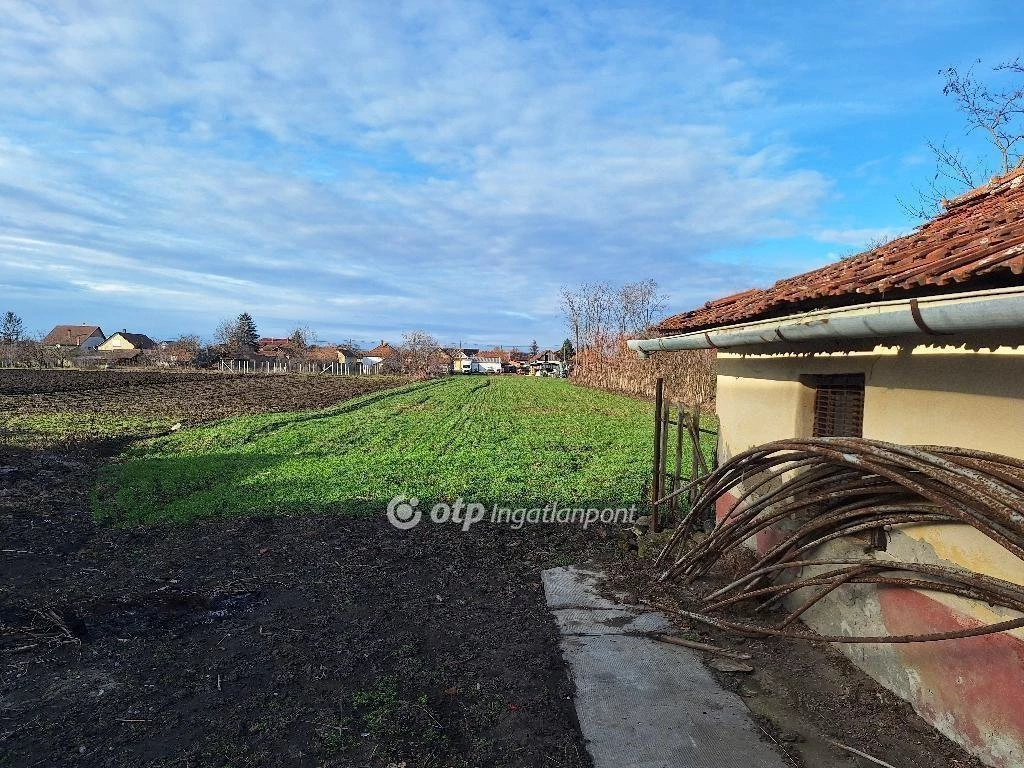 For sale house, Mezőkovácsháza