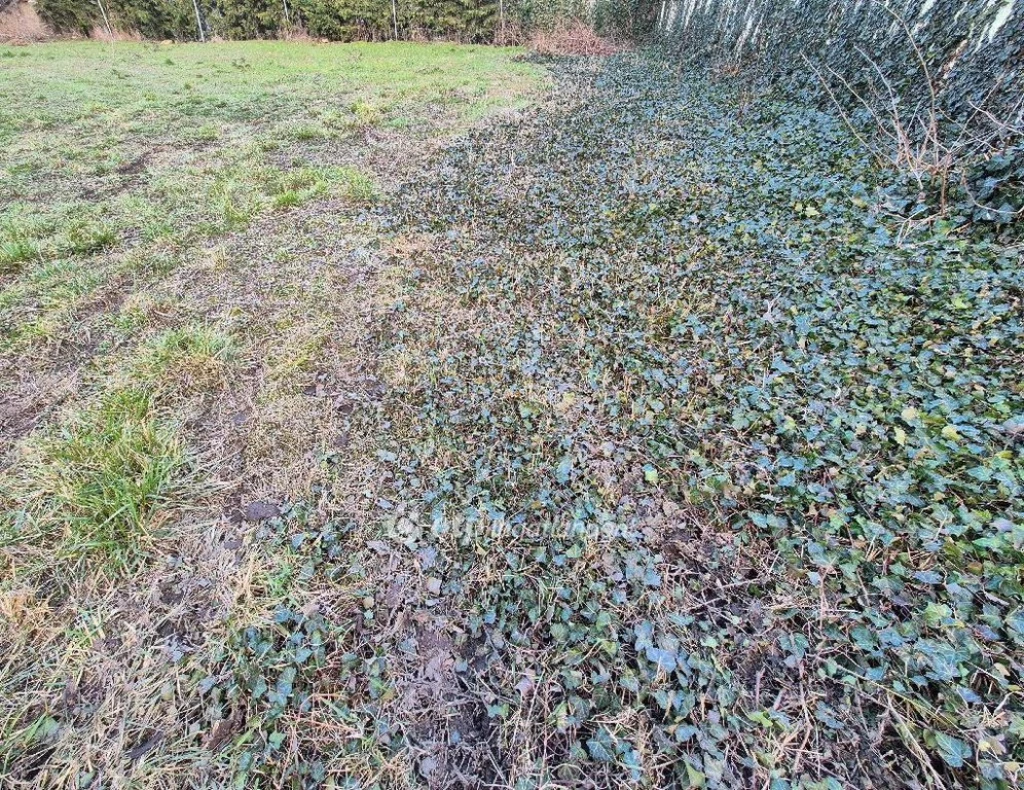 For sale building plot, Szentes