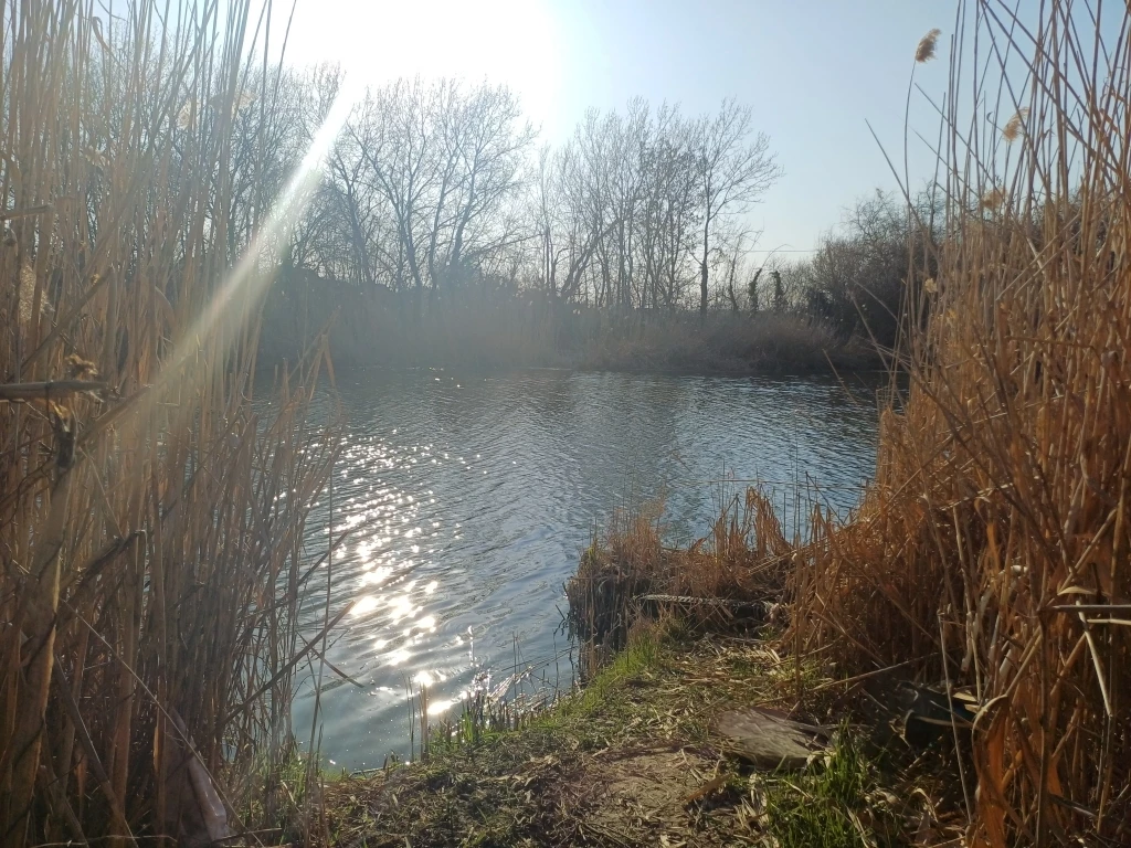 For sale periphery plot, Szentes