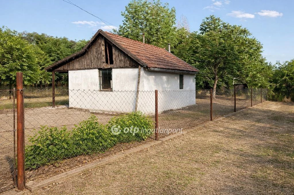 For sale house with a garden, Csongrád