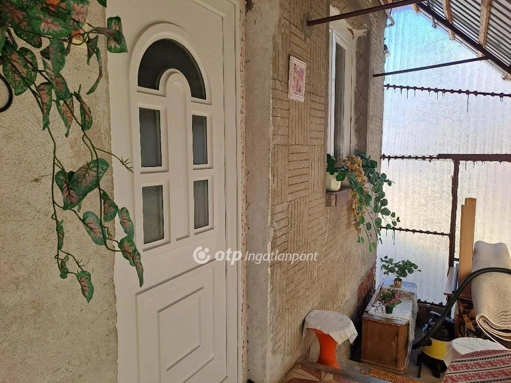 c3-1-name c2-1-name, Kiszombor