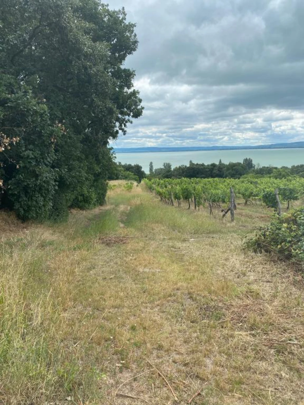 Eladó Telek, Balatonszepezd