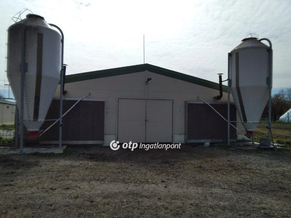 Kiadó Ipari terület, Szentes