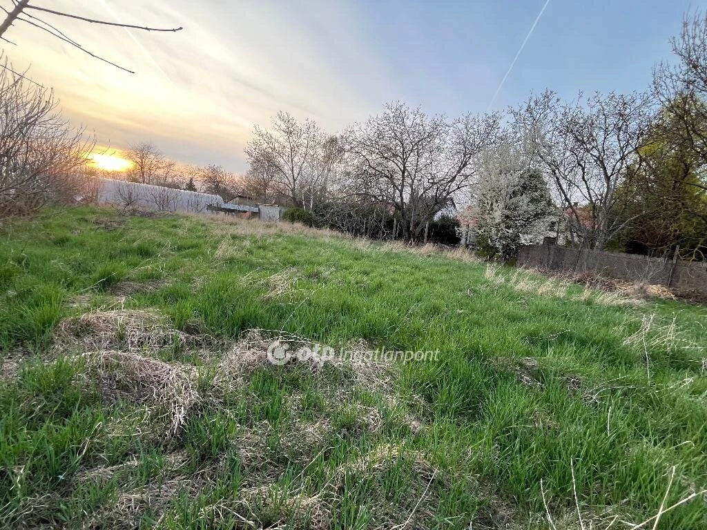 Eladó Telek, Szentes