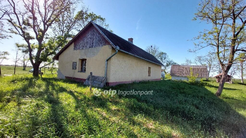 Eladó Ház, Csongrád