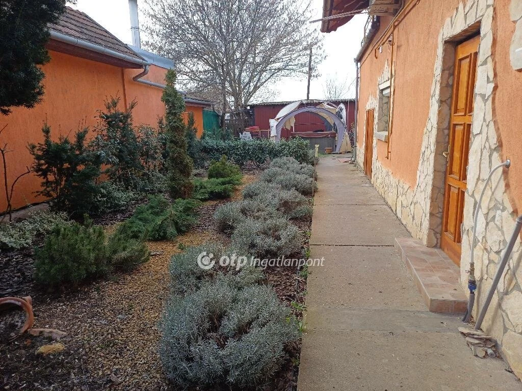 Eladó Ház, Csongrád