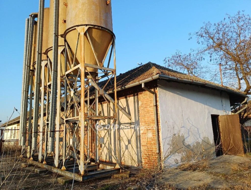 c3-1-name c2-94-name, Csongrád