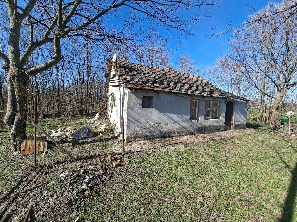 c3-1-name c2-55-name, Petőfiszállás