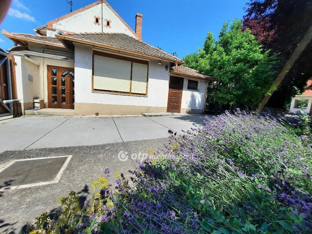 c3-1-name c2-1-name, Szentes