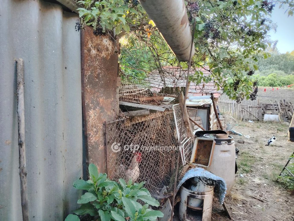 Eladó Ház, Kunszentmárton