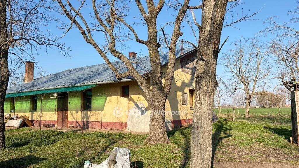 Eladó Ház, Csongrád