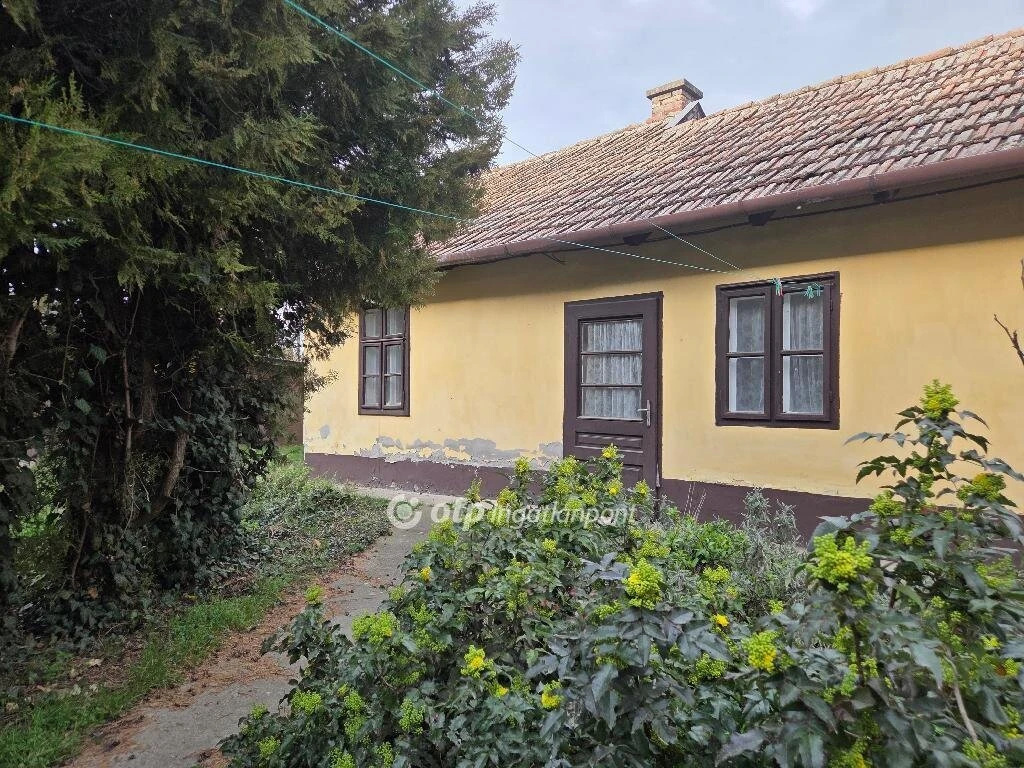 Eladó Lakás, Mezőhegyes