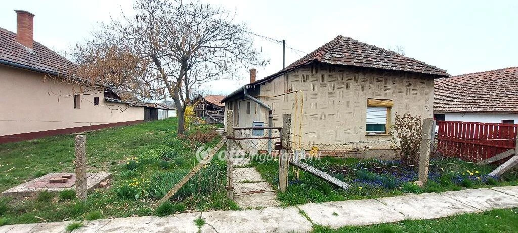 c3-1-name c2-1-name, Kunszentmárton