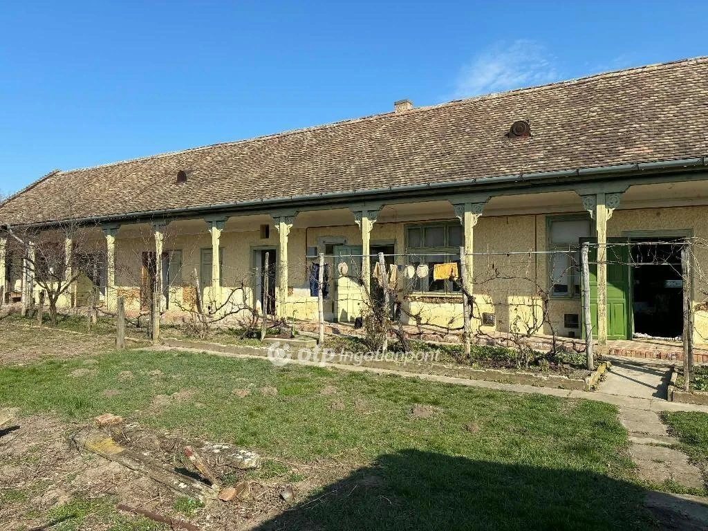 c3-1-name c2-1-name, Mezőberény