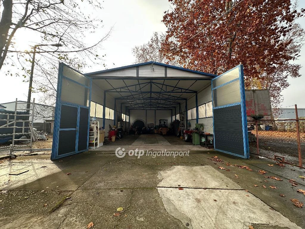 Eladó Üzem, Csongrád