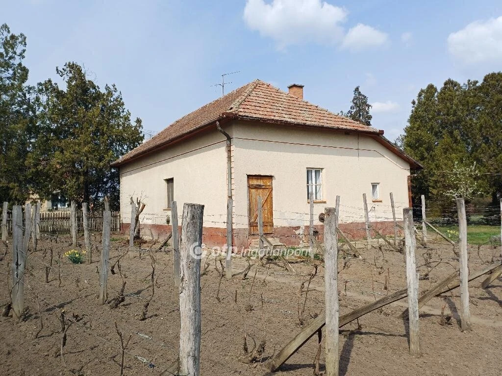 Eladó Ház, Csanytelek