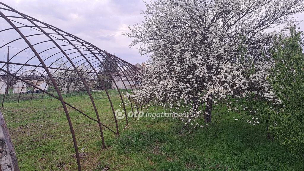 Eladó Mezőgazdasági, Nagybánhegyes