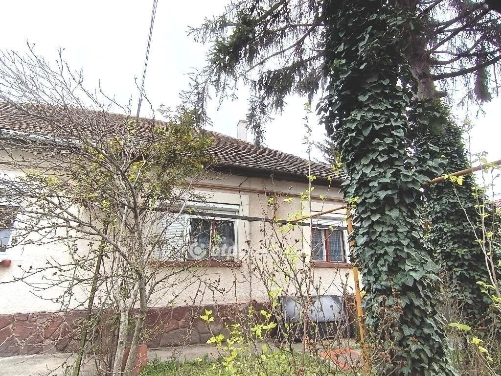 Eladó Ház, Szentes
