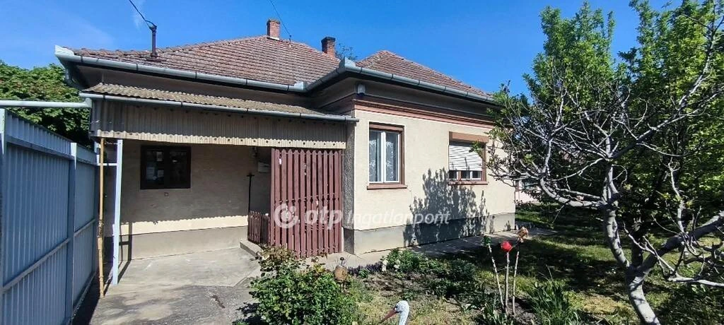 c3-1-name c2-1-name, Szarvas