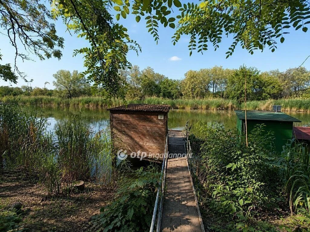 Eladó Ház, Szentes
