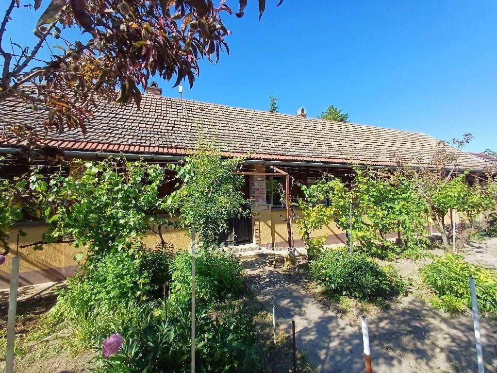 Eladó Ház, Csongrád